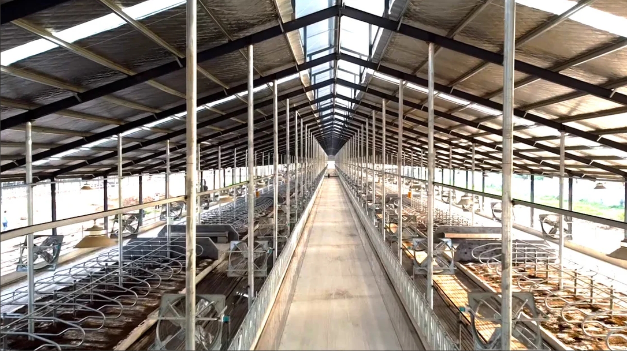 CA88����(�й���) - Ψһ�ٷ���վ